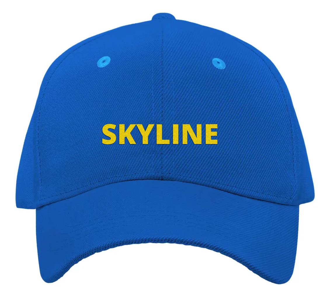 Custom Baseball Hat