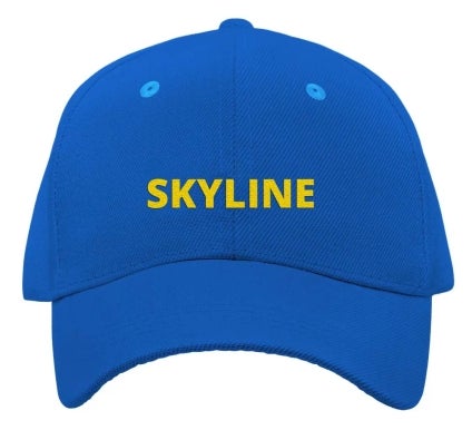 Custom Baseball Hat