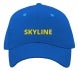 Custom Baseball Hat
