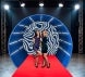 Half Circle Photo Booth Enclosure