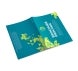 Brochure Printing